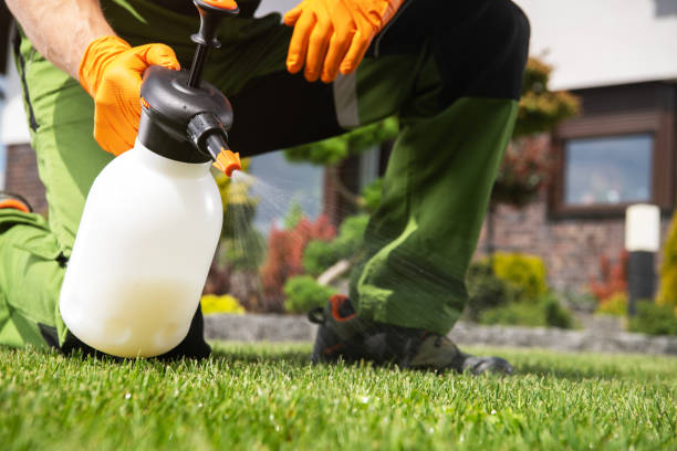 Pest Control for Restaurants in Vidalia, GA