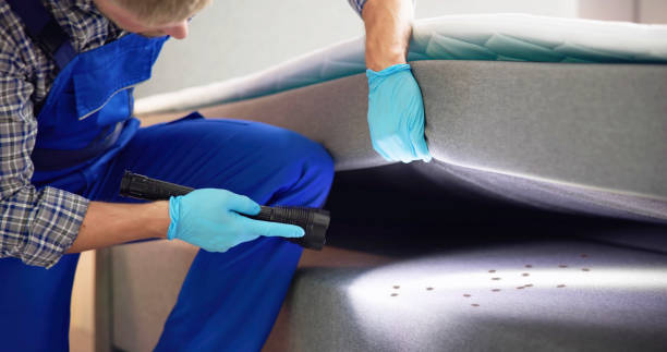 Best Pest Control Near Me  in Vidalia, GA