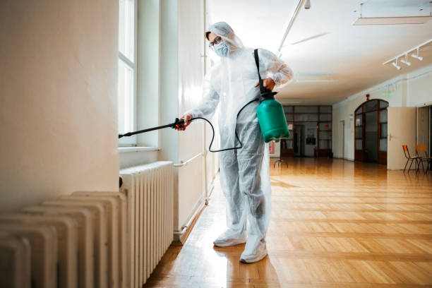 Best Mosquito Control Services  in Vidalia, GA